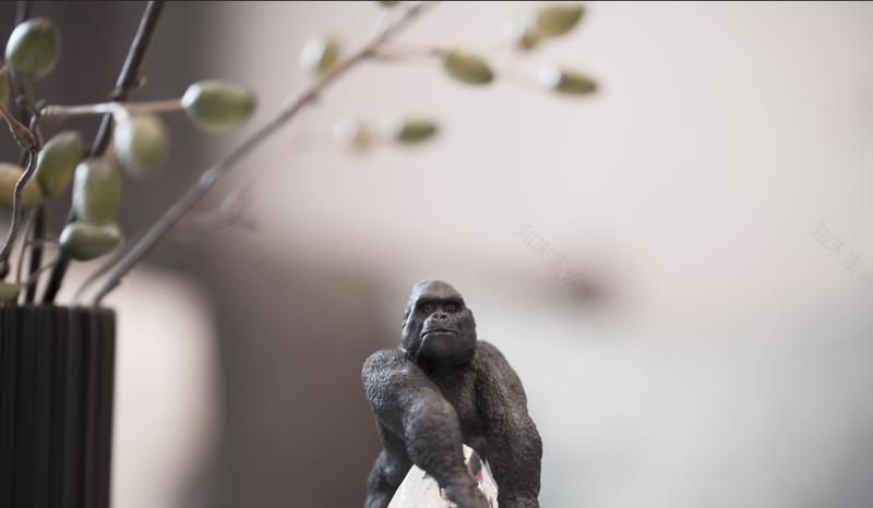 深圳深业中城公寓-22