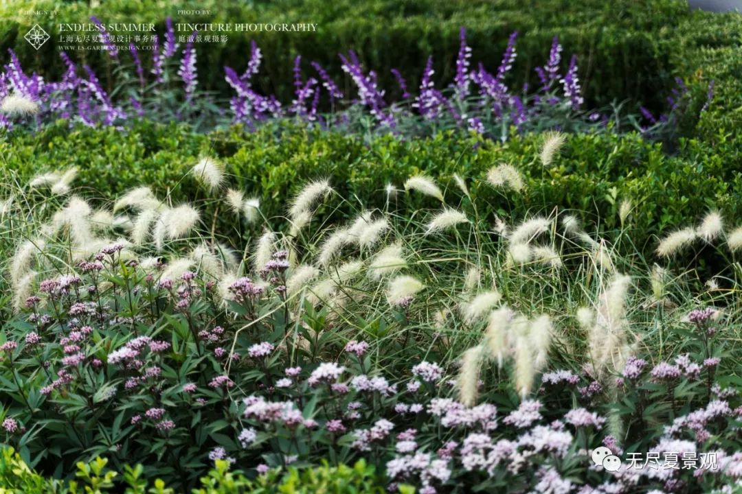 都市秘境 | 上海中兴路一号 Oriental One 花境设计-86