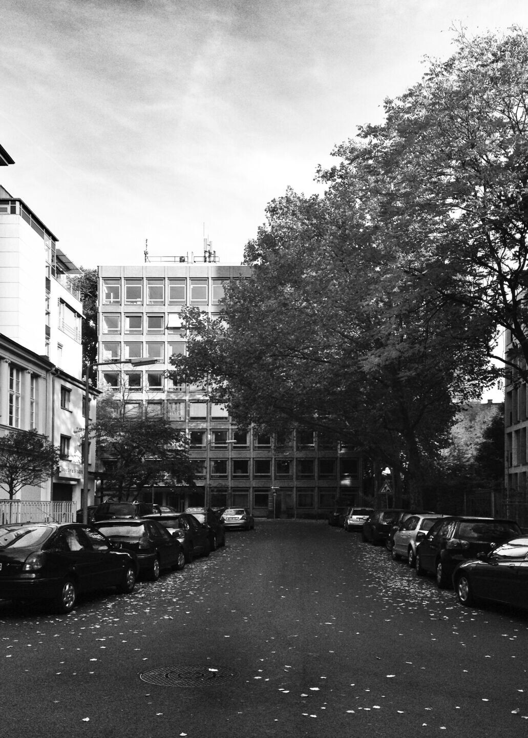 德国法兰克福 60 年代混凝土建筑的现代改造-14