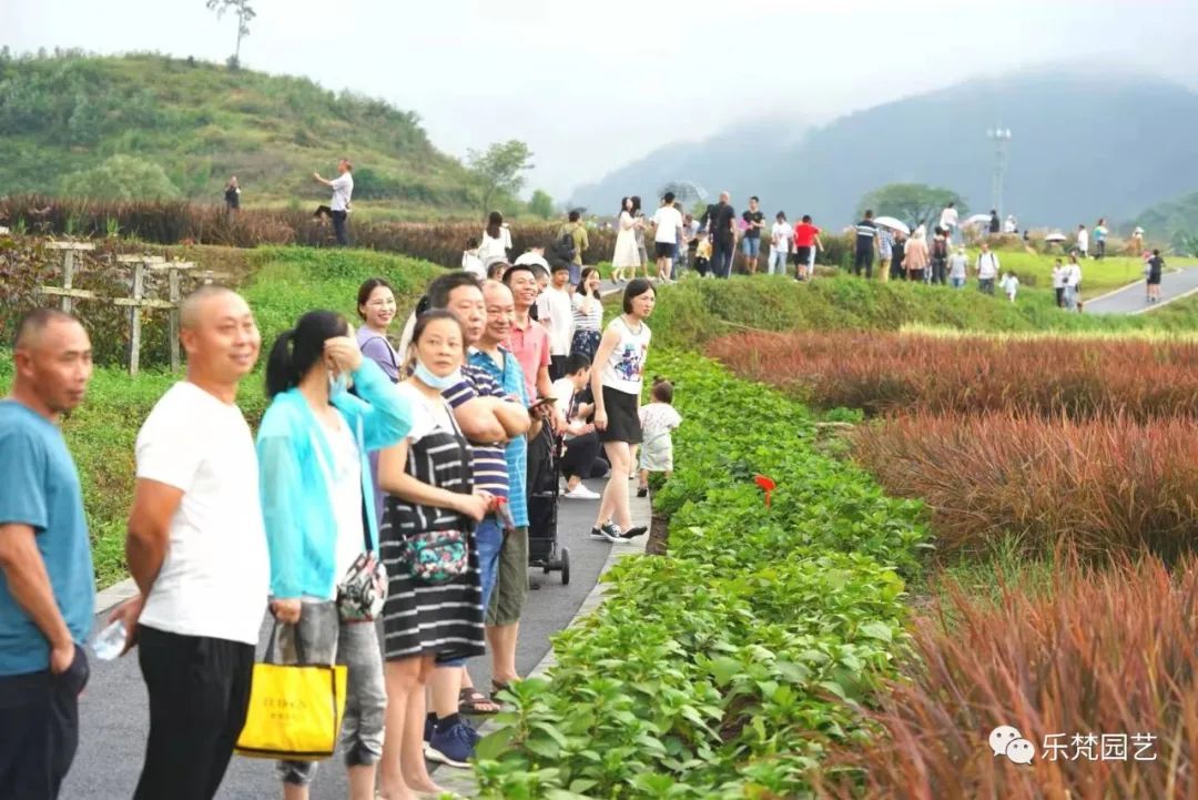 峨眉山恒邦高桥里花境营造丨中国眉山丨成都乐梵缔境园艺有限公司-67