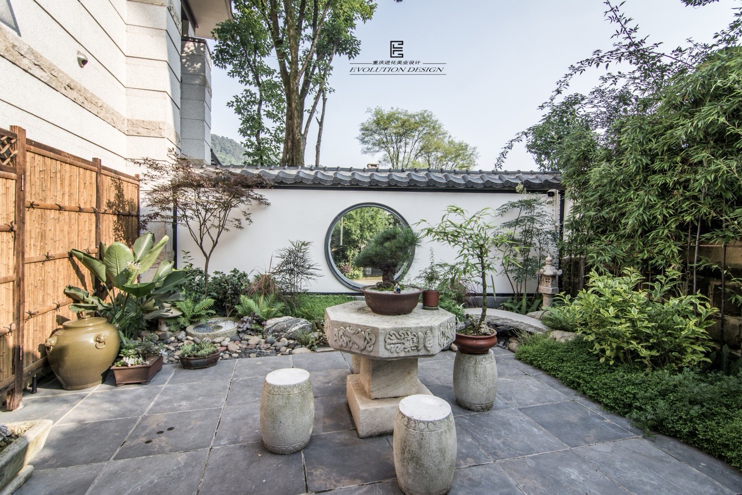 进 化 | 明 月-16