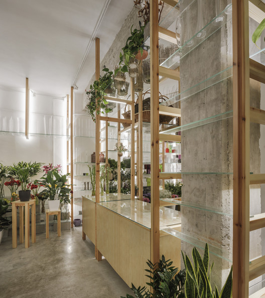 兰花梯子的奇幻空间-2