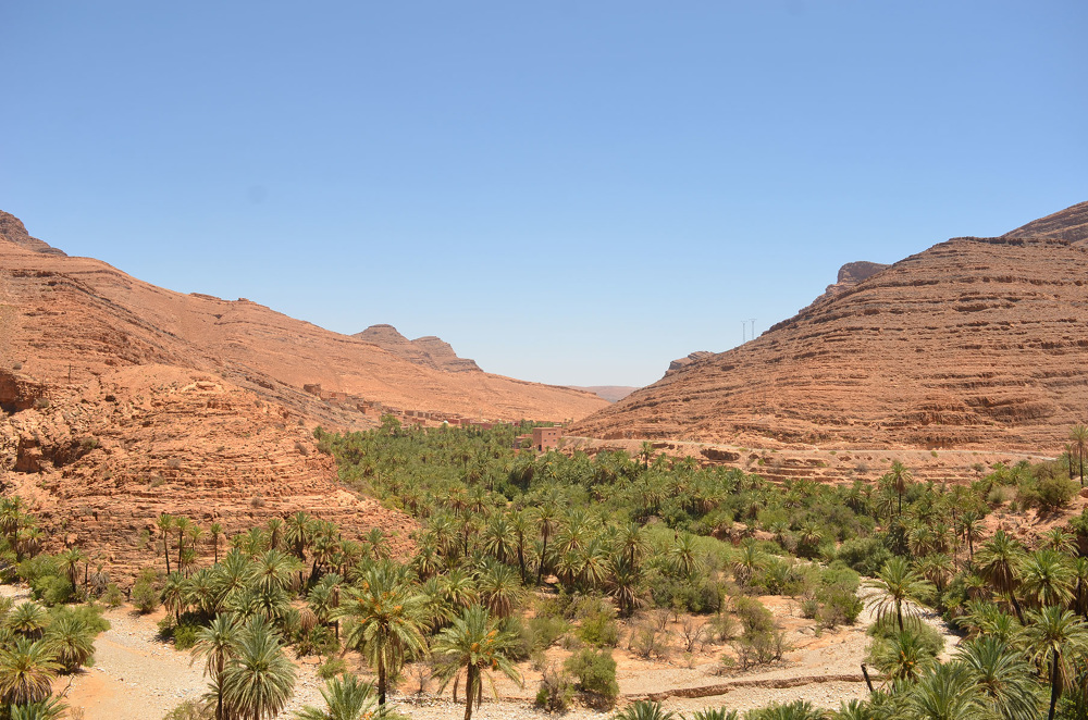 《Moroccan Oasis Transformed by Inside Outside Studio （Inside Outside 工作室将摩洛哥绿洲转型）-1