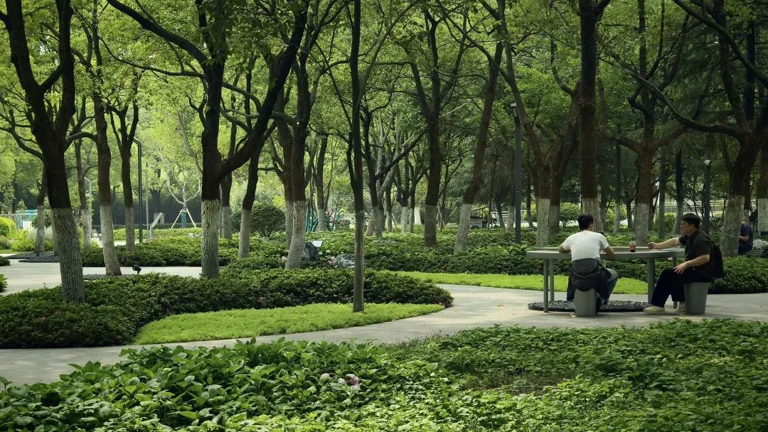 唤醒自然，天鹅重现—城市里的治愈系游园|园科作品-55