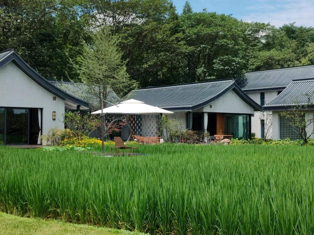 天府水岛林盘依田桃源丨中国成都丨梦景未来DDM-38