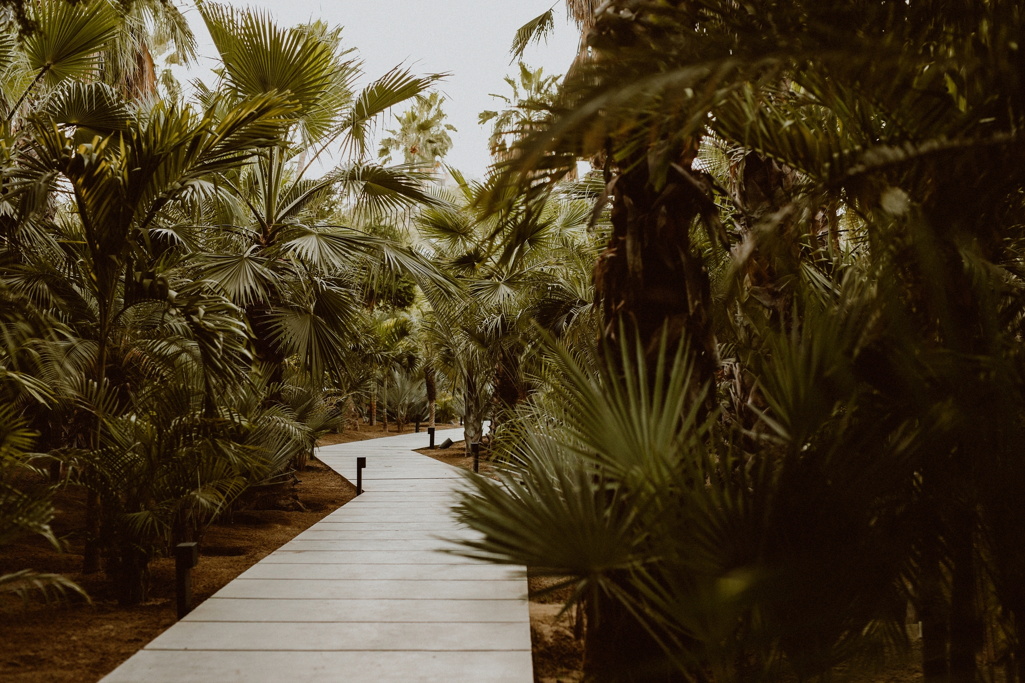Tree Houses in Acre / FabrikG-20