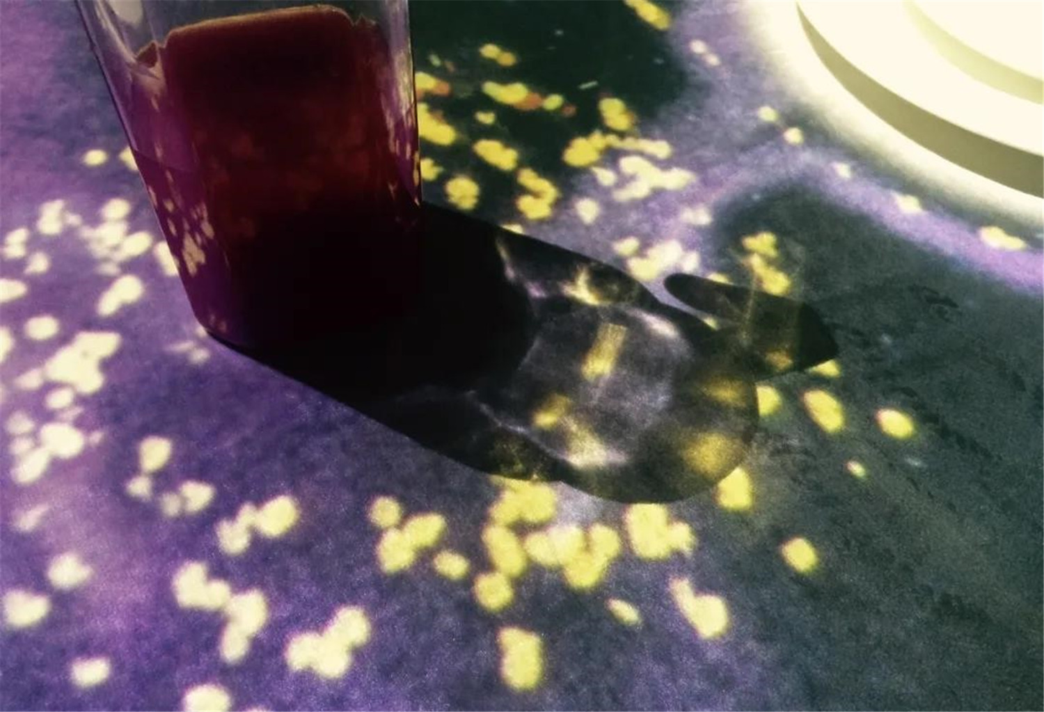 北京便宜坊沉浸式餐厅丨上海光塔多媒体科技有限公司-22