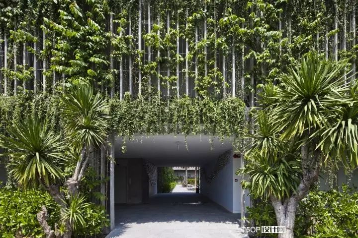 去了越南,这家绿植酒店一定不能错过-15