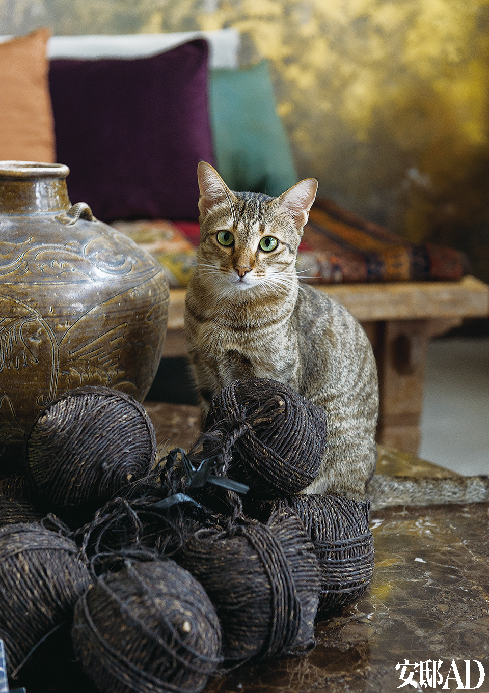 住在巴厘岛的一对工作狂-4