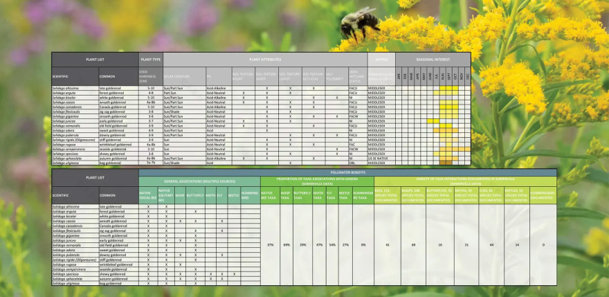 萨默维尔授粉昆虫行动计划丨美国丨Offshoots,Inc.-39