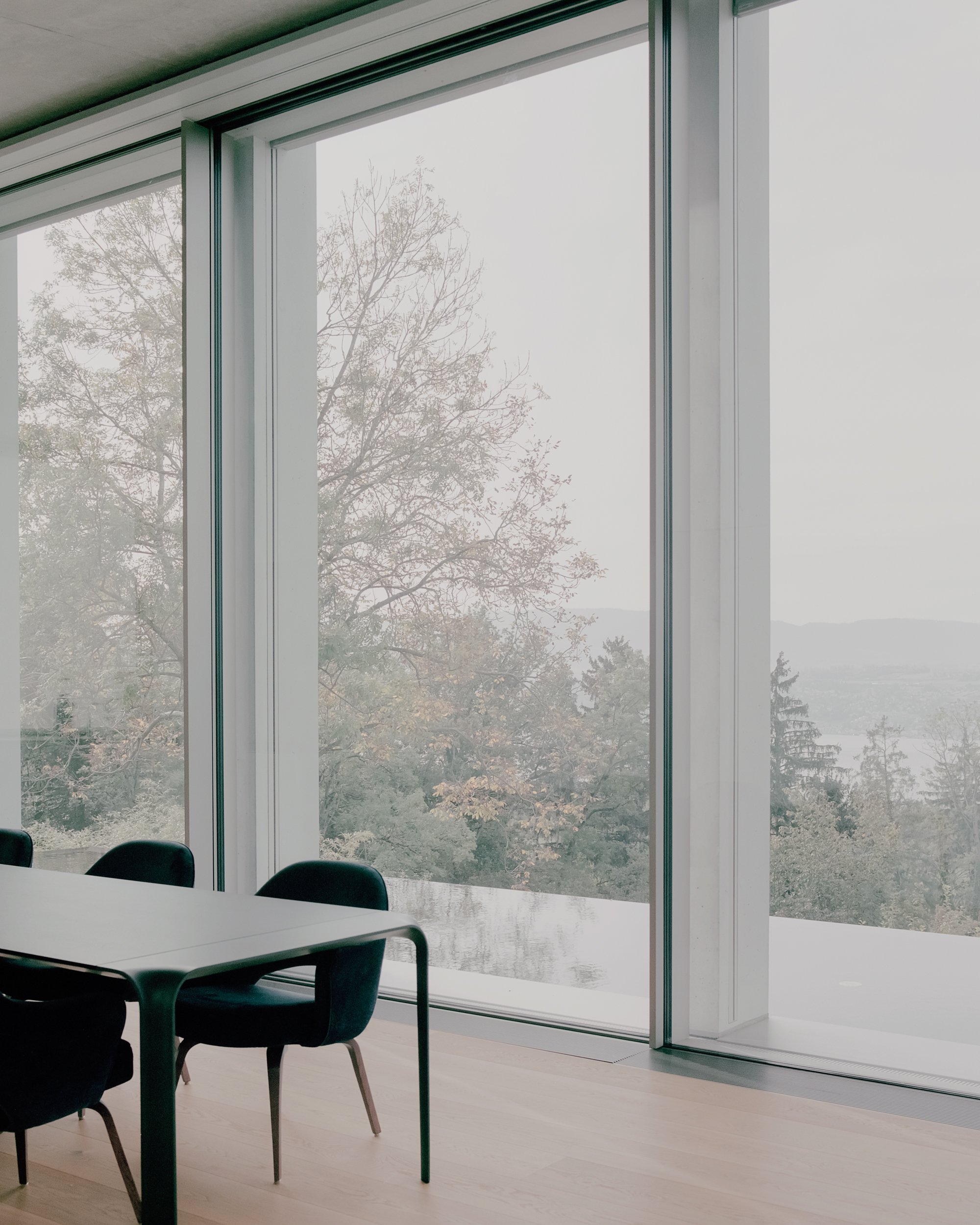 Uetikon 住宅丨瑞士丨PPAA-11