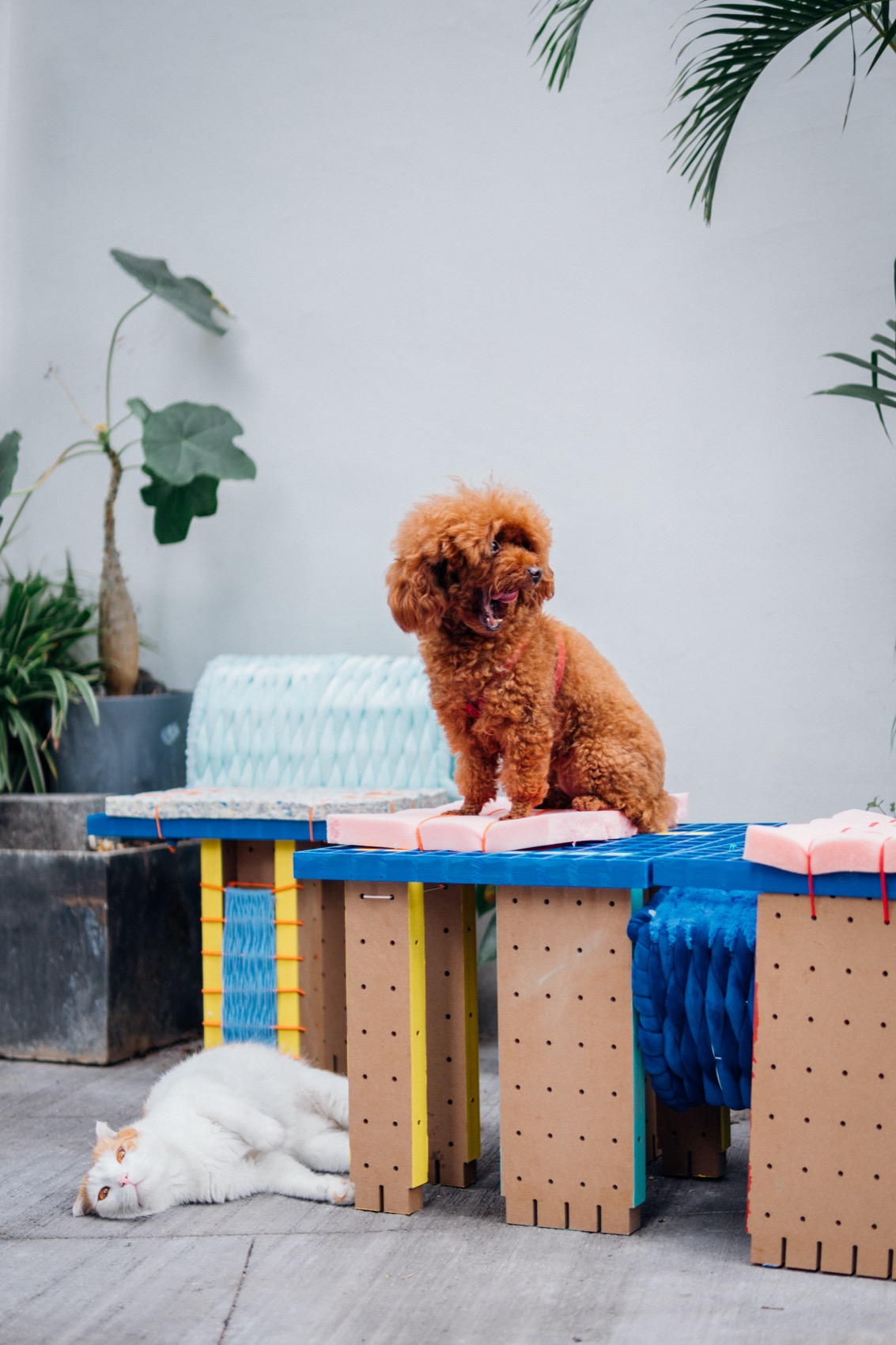 转接头丨中国深圳丨梓集fabersociety-60