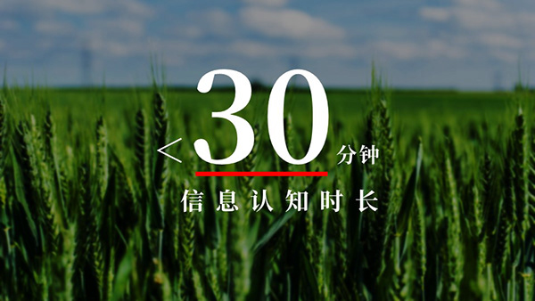 现代农业基地-品牌/策划2019-4