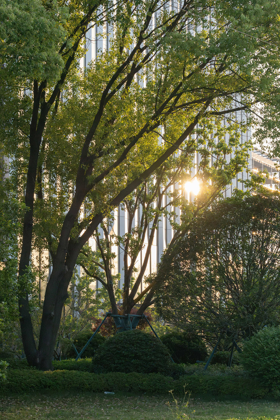 海螺创业上海区域研发中心项目丨中国上海-109