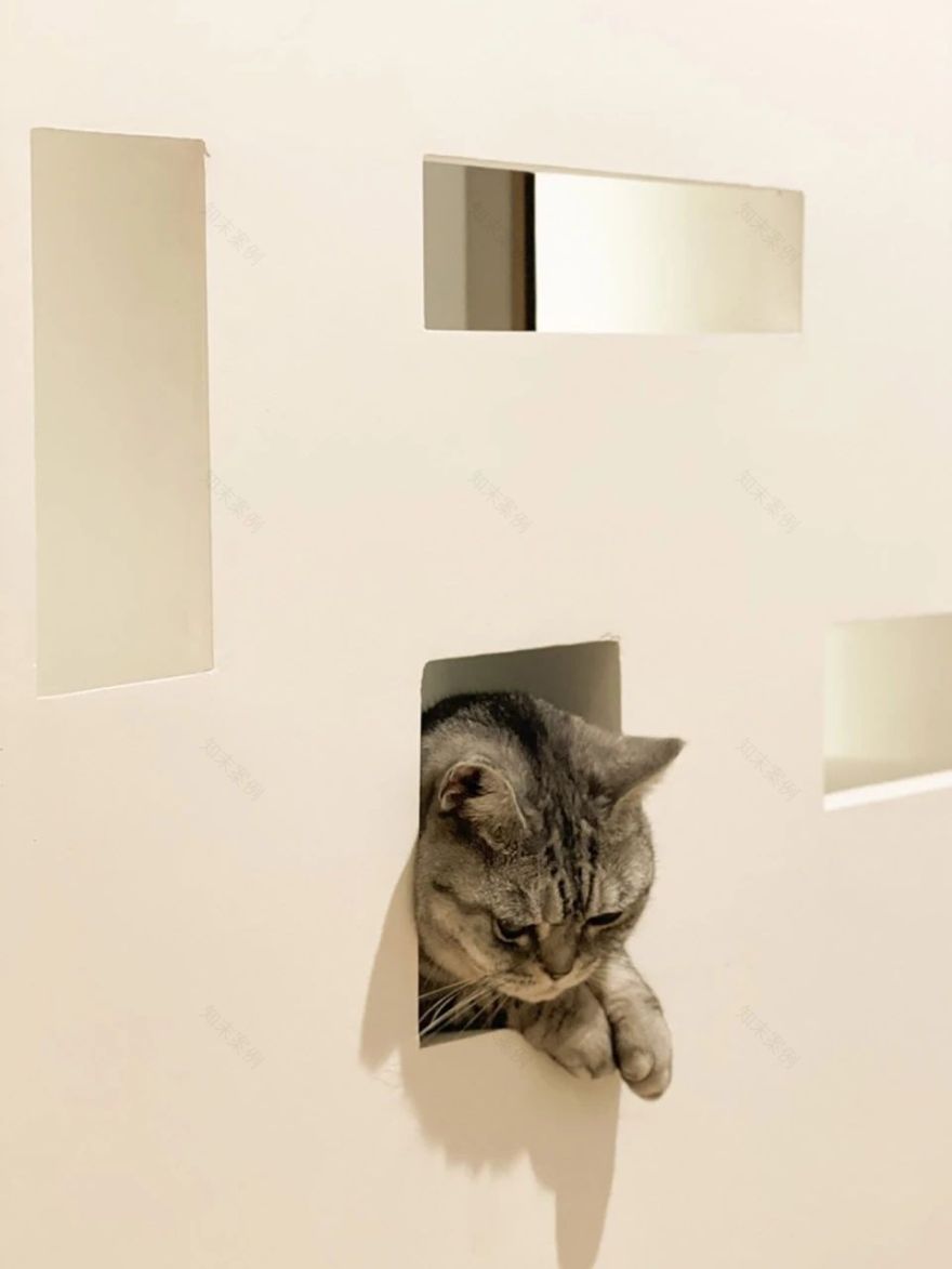 躲猫猫之屋丨中国上海丨理想猫空间设计-65
