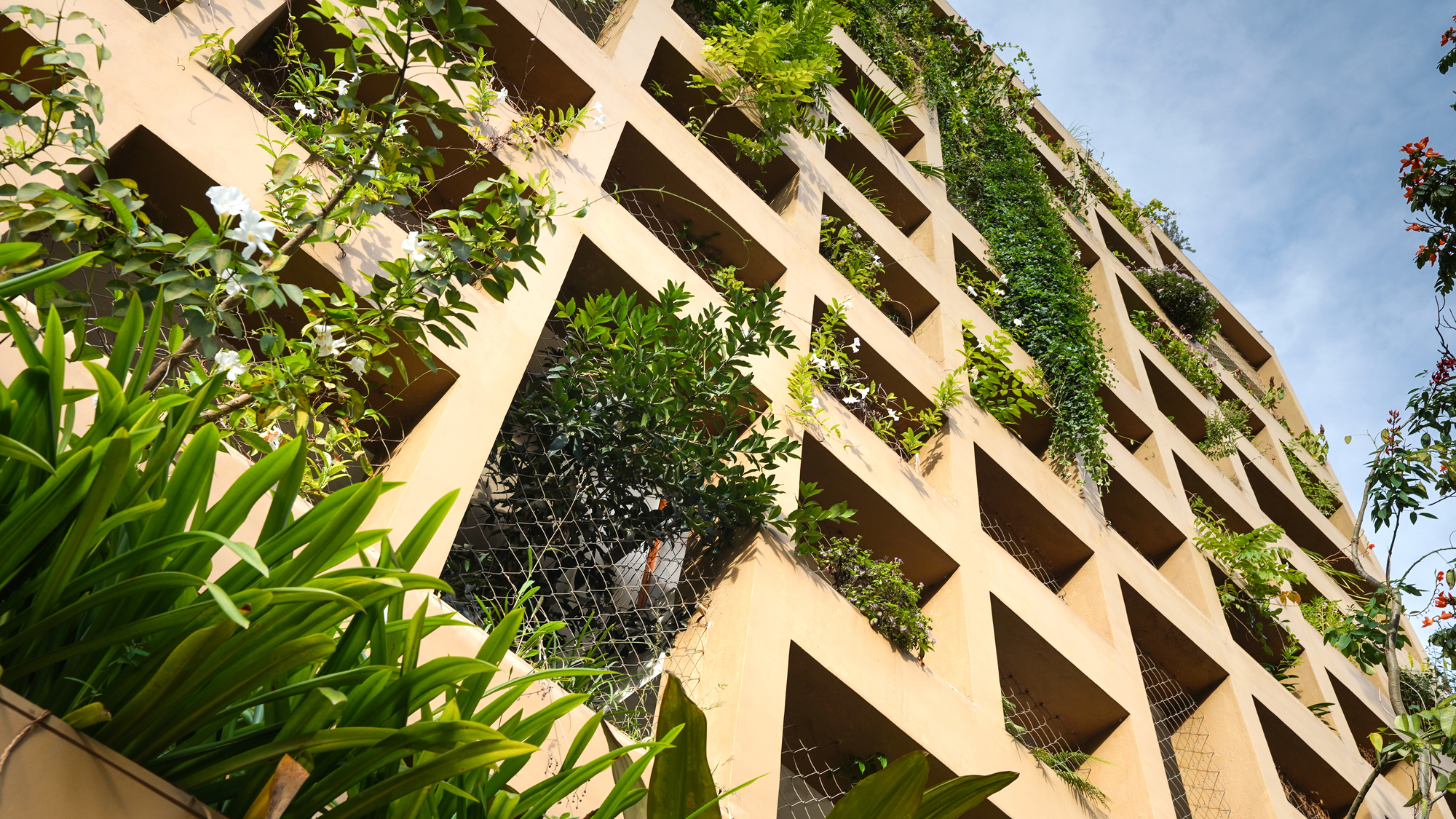 戴维斯路公寓丨印度班加罗尔丨DS2 Architecture-22