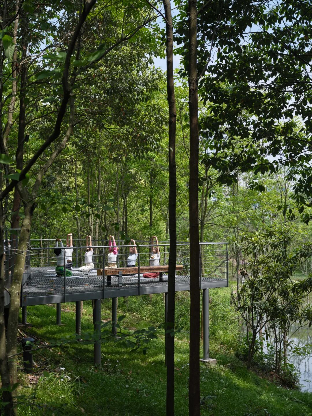 城市掌心的生态山野——麓野公园-11