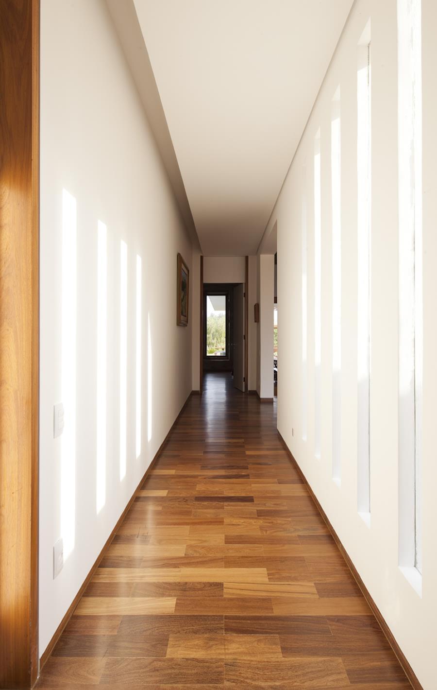 巴西 Vasco Lopes Arquitetura 的绿色环保住宅设计-9