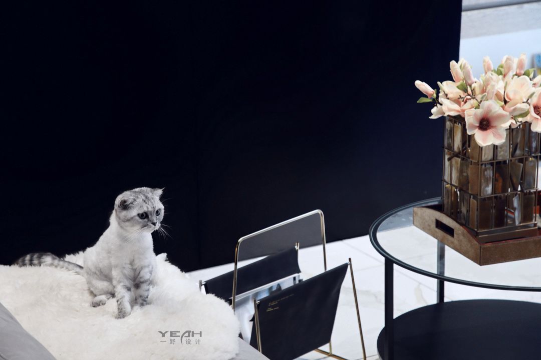 九龙仓时代上城 | 358m² | 现代风格-2