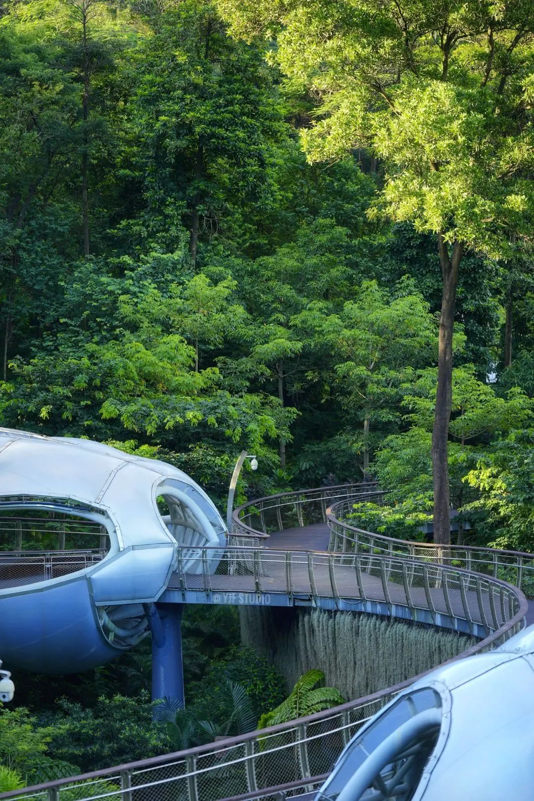 广州云萝植物园丨中国广州丨广州普邦园林股份有限公司-29