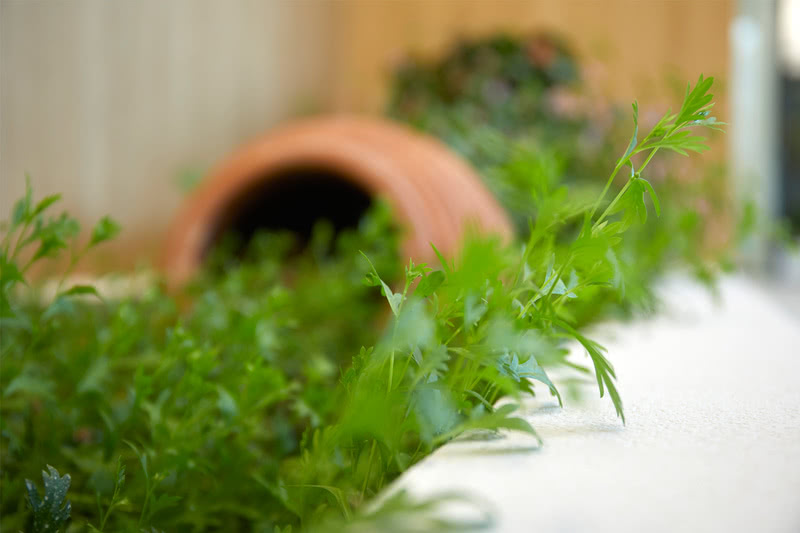 苏州好博医疗办公总部设计丨中国江苏丨优鸿设计-105