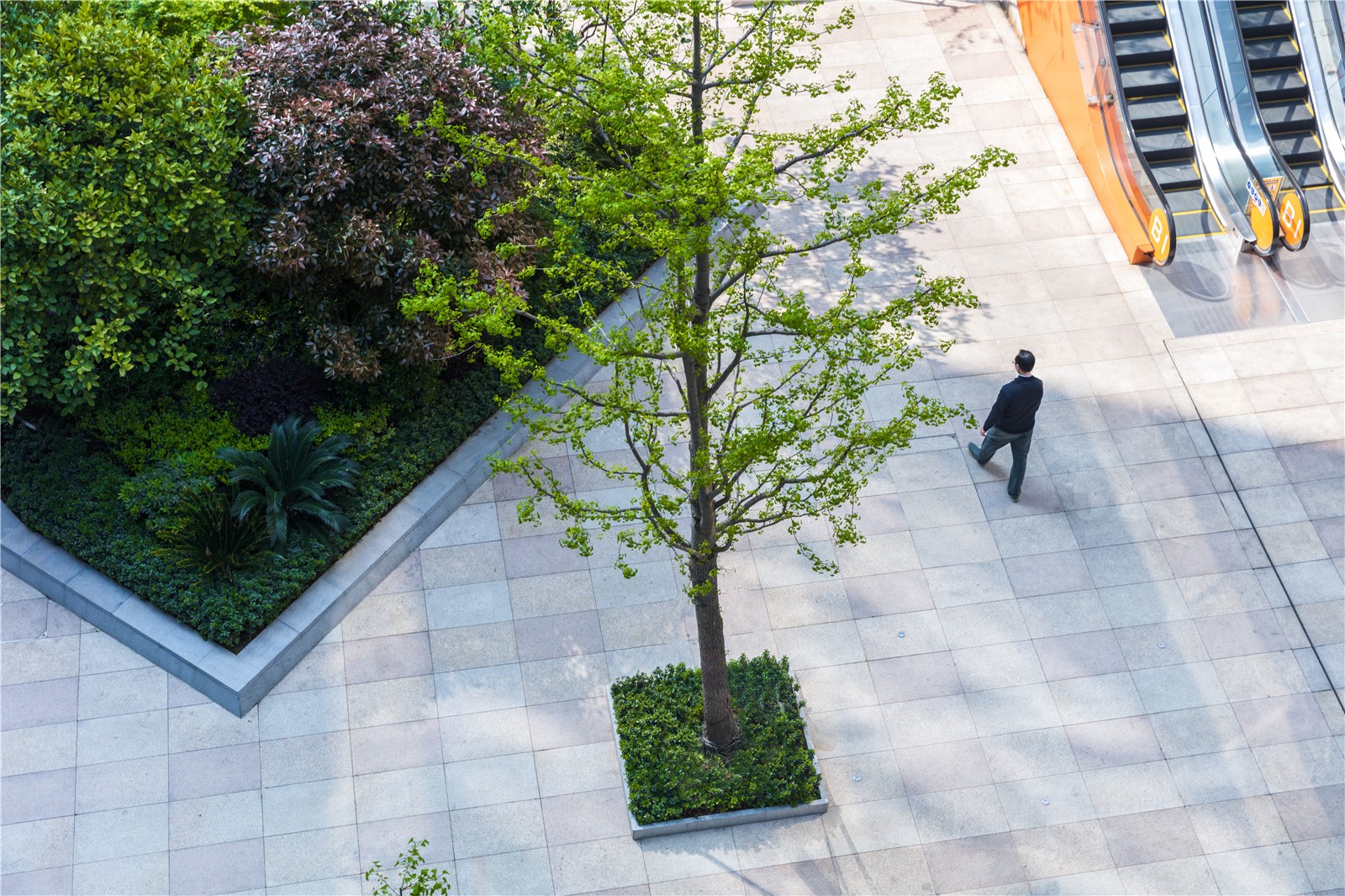 上海虹桥阿里巴巴综合体景观-30