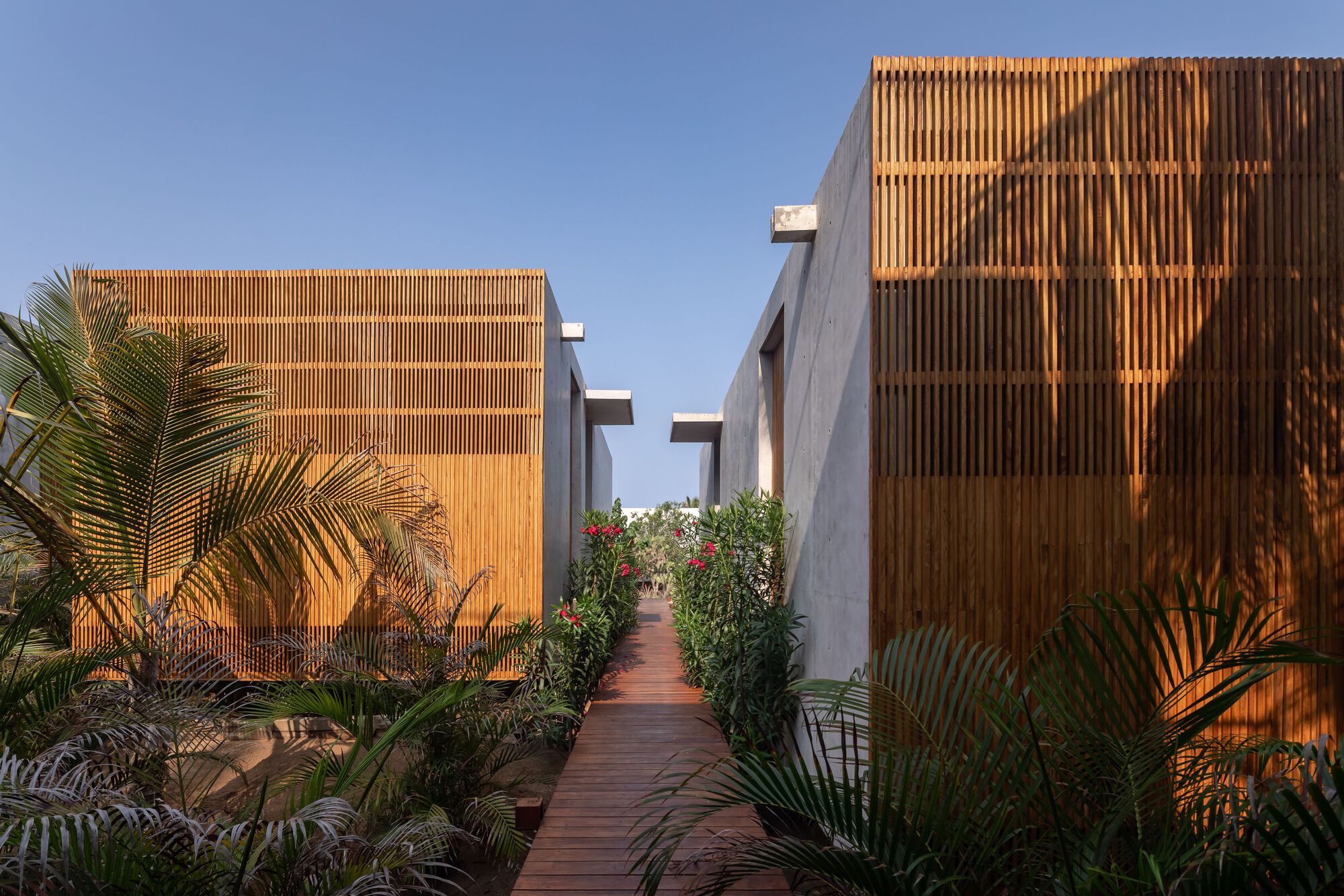 莱里亚之家丨墨西哥瓦哈卡丨TAC Taller Alberto Calleja-31