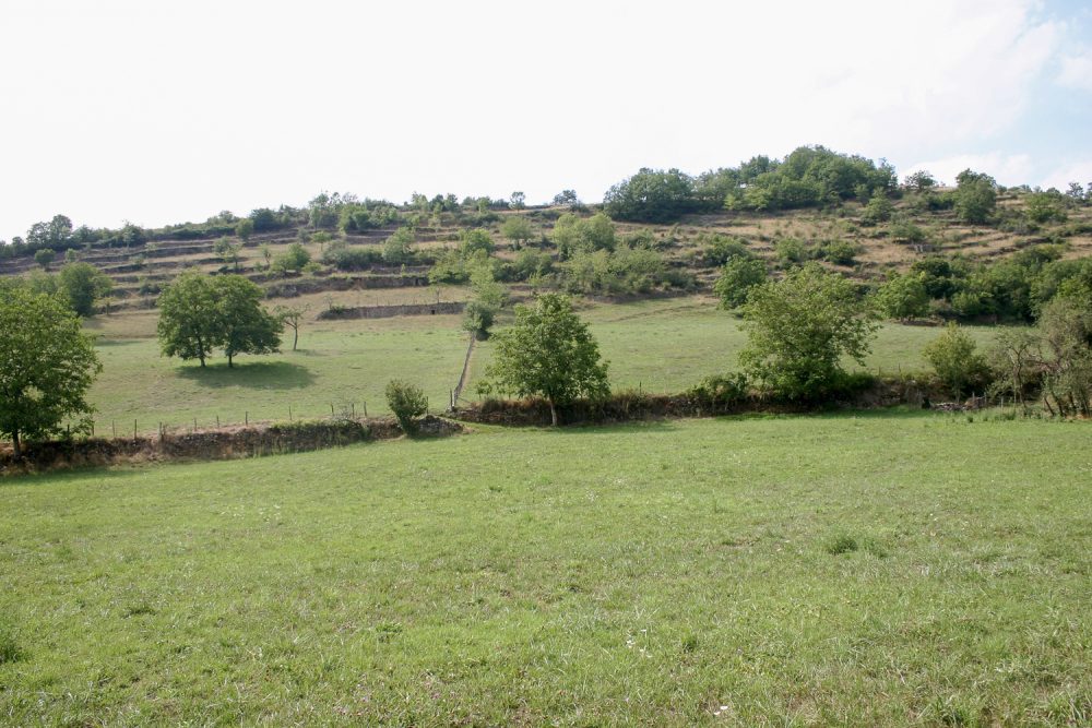 Flaujac  Espalion景观观察项目-44