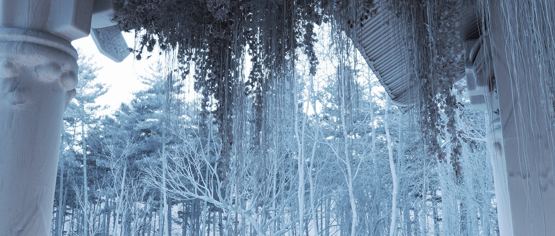 我未能找到PANIKHIDA的确切、通用的对应翻译可能它是一个较为生僻的术语、特定文化或宗教相关的词汇请补充更多关于该词的语境信息，以便我能更准确地进行翻译目前暂时无法提供有效翻译 丨Artur Tamioła,Bartosz Domiczek-64