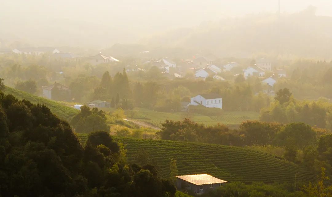 妙西西塞山旅游度假区入口景观提升工程丨中国湖州丨中国美院风景建筑设计研究总院-0