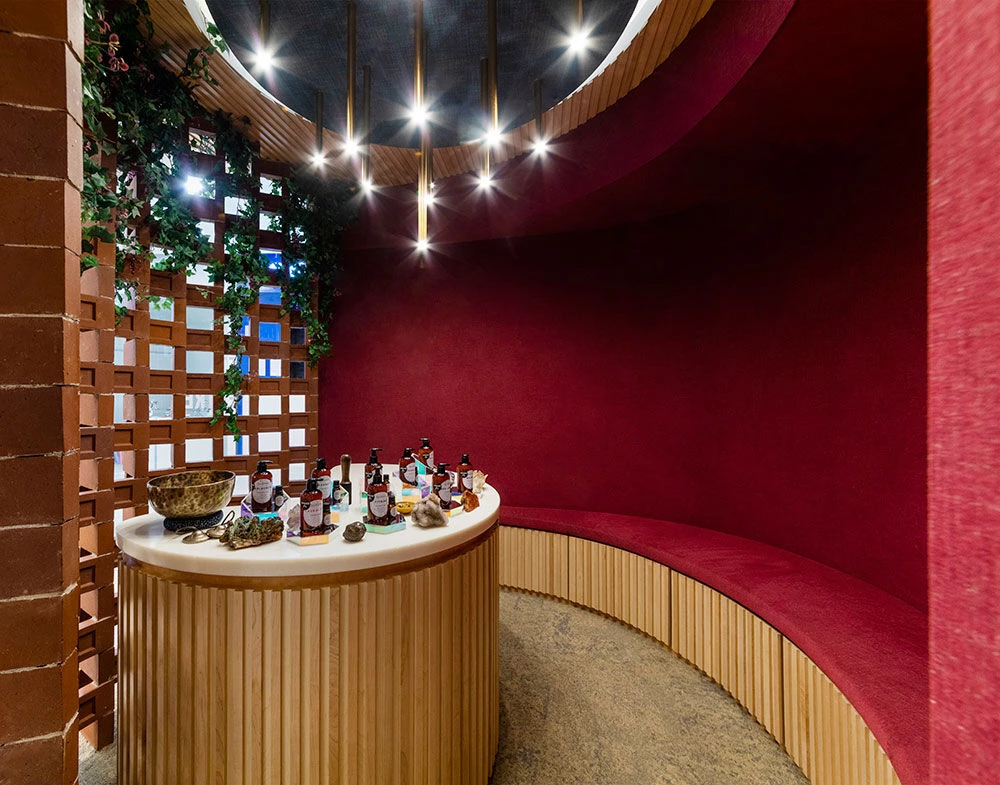 Rebirth Under the Stars-16