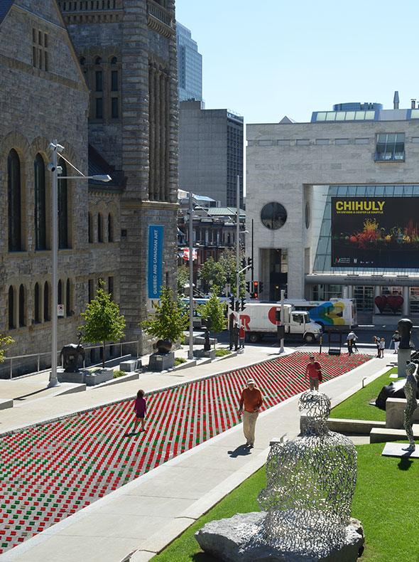 蒙特利尔街头的“向日葵田”丨加拿大蒙特利尔丨TOM II-7