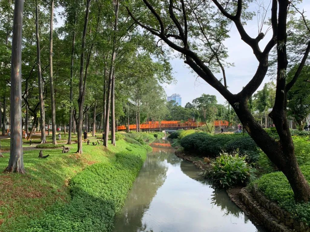 雅加达 Tebet Eco 公园丨印度尼西亚雅加达丨不详-16
