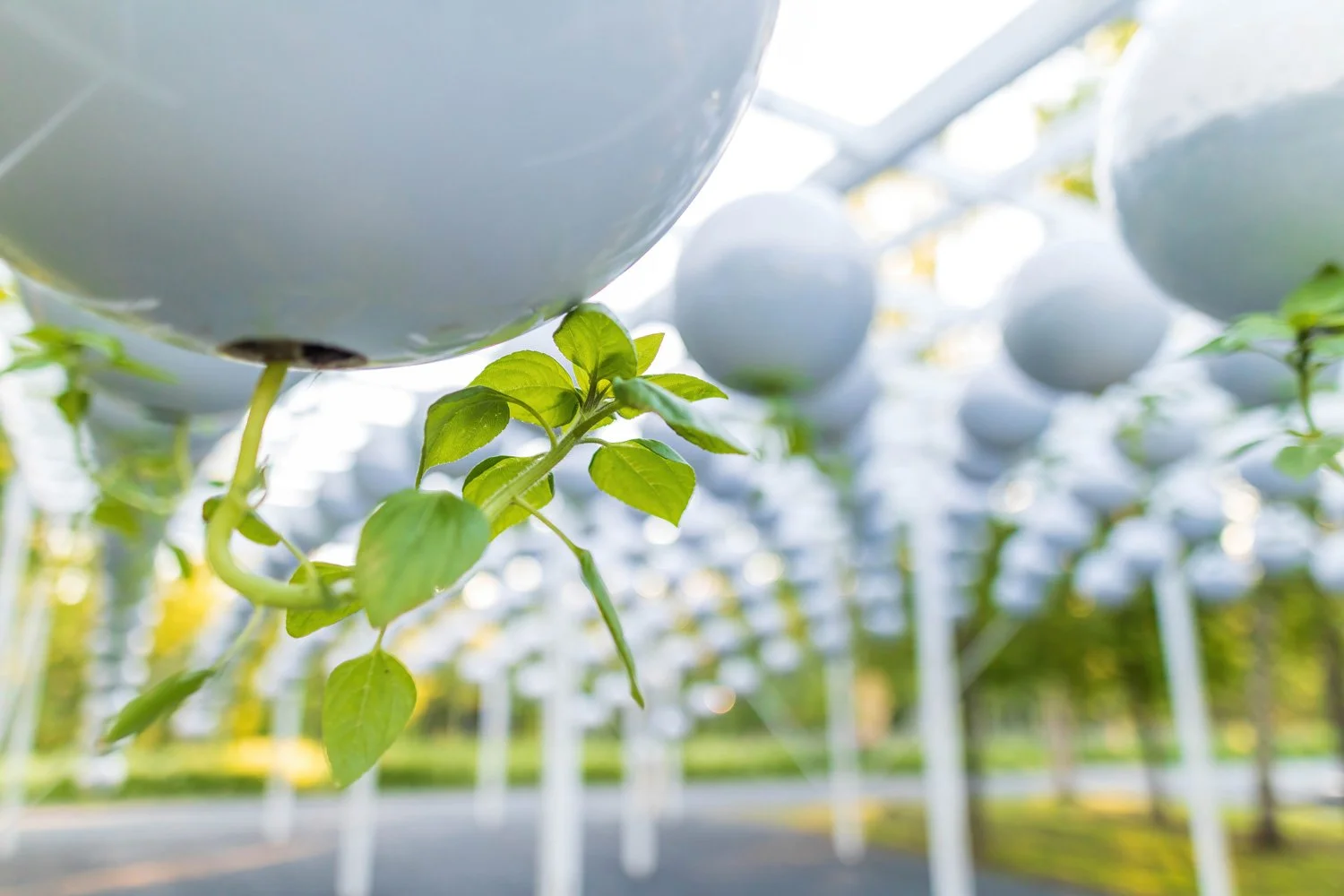 地形工作重力场-13