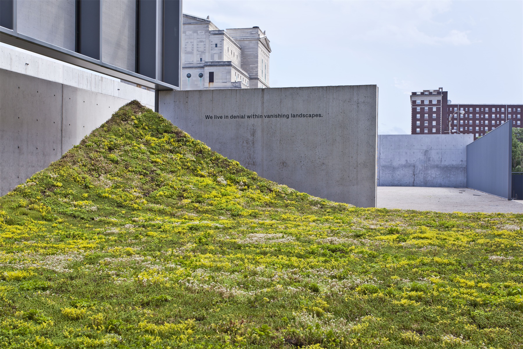 绿色地毯艺术装置丨美国丨nomad studio-21