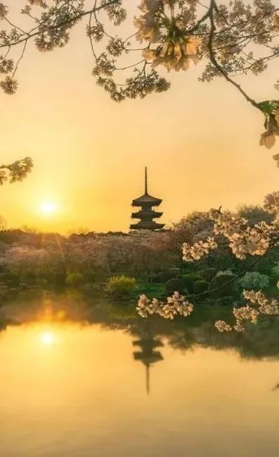 东湖金茂府新示范区丨中国武汉丨SWS Group-32