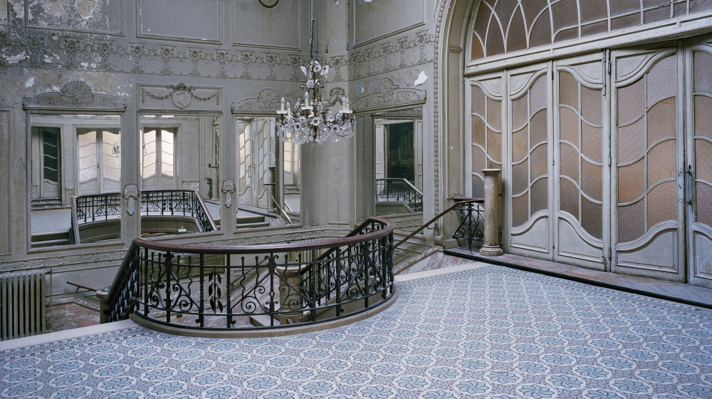 Aegidium修复项目-2