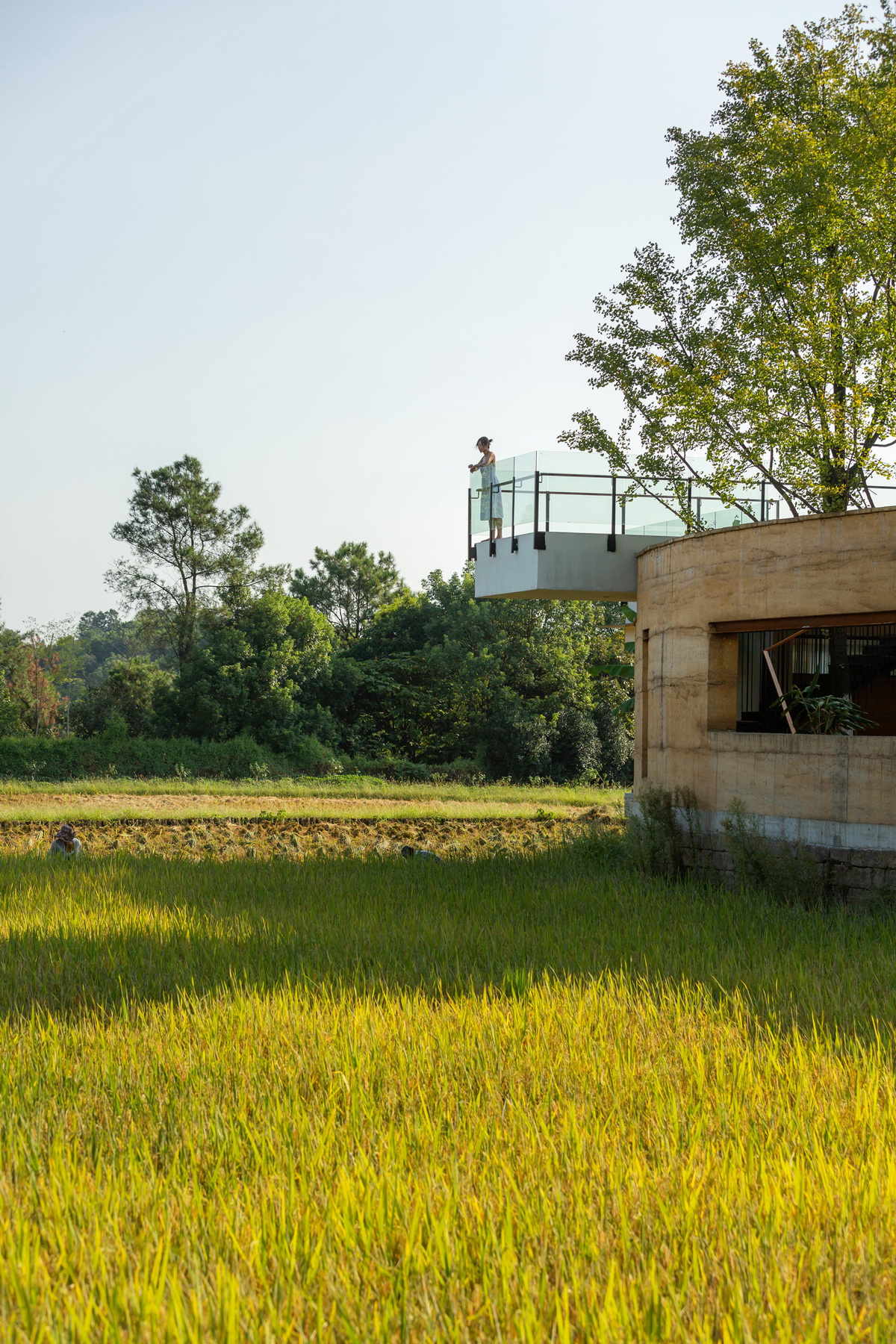 【案例分享】稻田·树下·椒园  -35