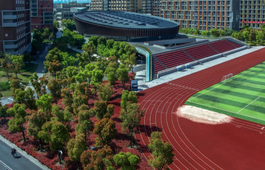 上海科技大学-84