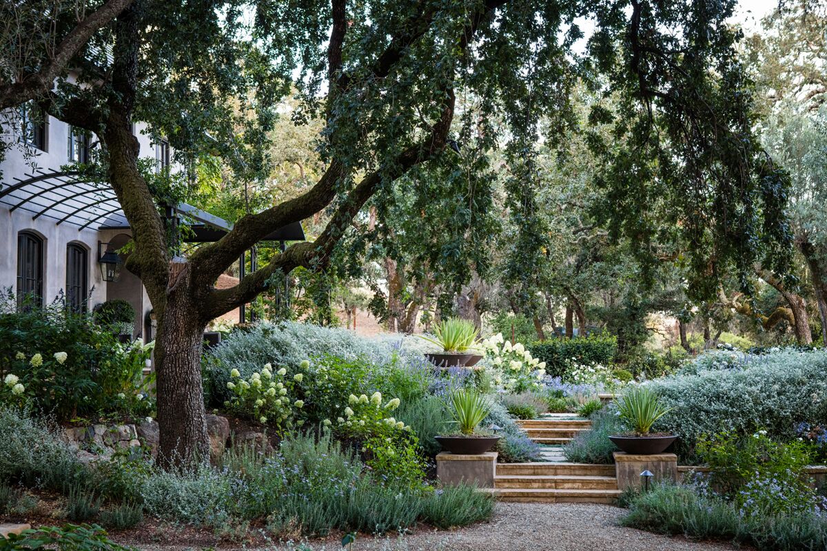 加州索诺马,现代经典庄园 / Lucas & Lucas-3