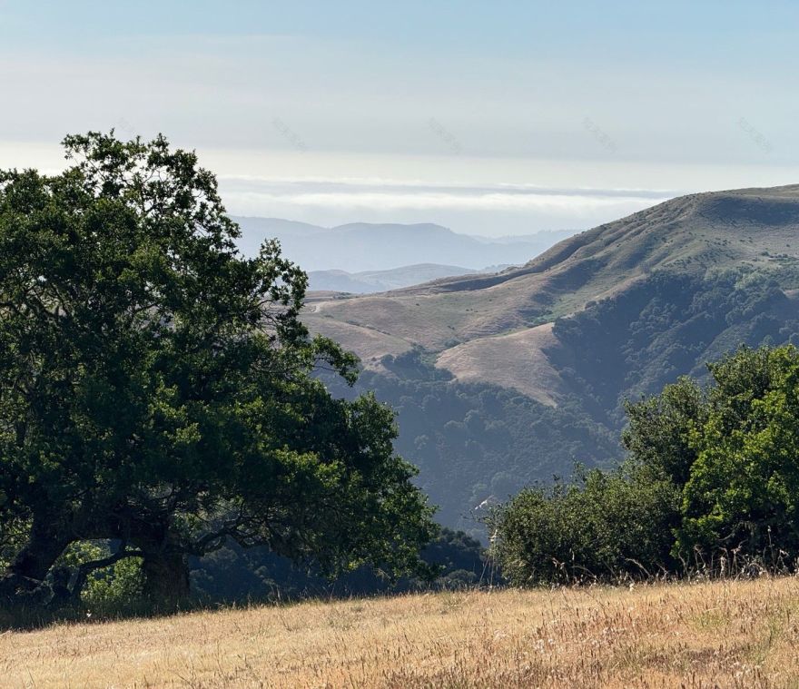 云顶之息(注:在特定游戏《最终幻想7:重制版》中有此名称,若没有相关特定背景,直译为云之休憩处 )
由于不清楚这个短语具体的使用语境,在一些特定的游戏等作品中它有固定的译法如上,如果没有特定背景,最贴近字面的翻译可提供如下版本供你按需参考:
云顶之憩-8