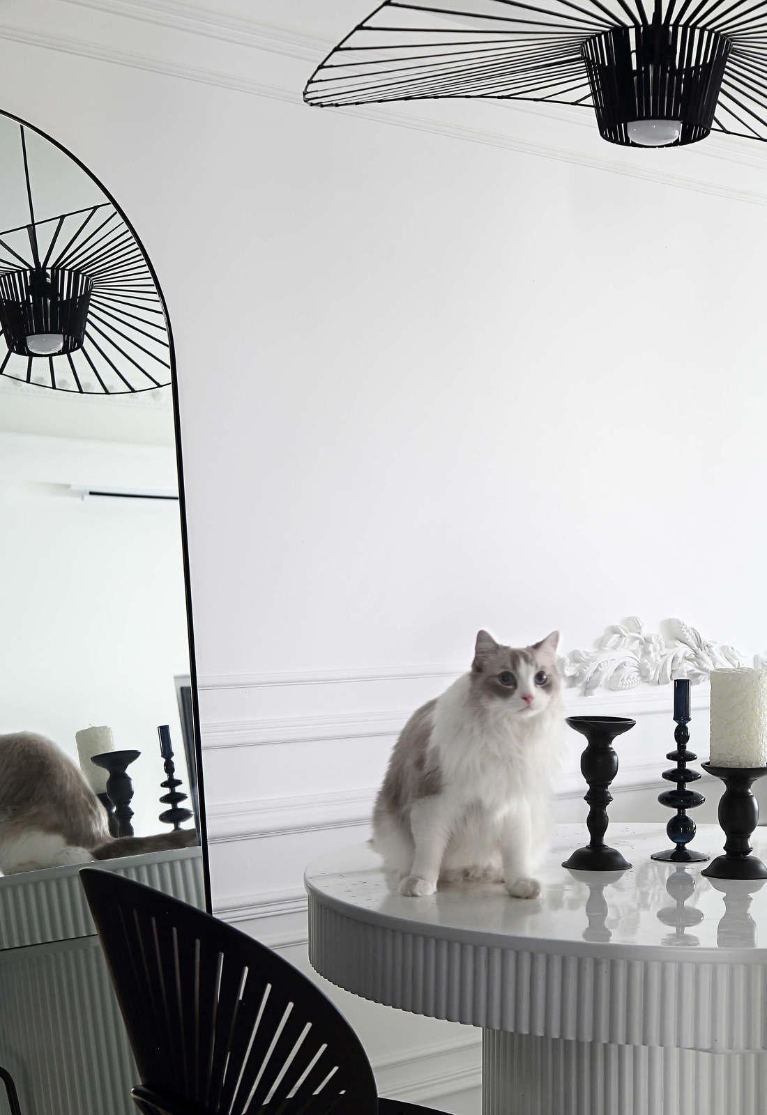 梦境光影中的艾瑞卡生活-22