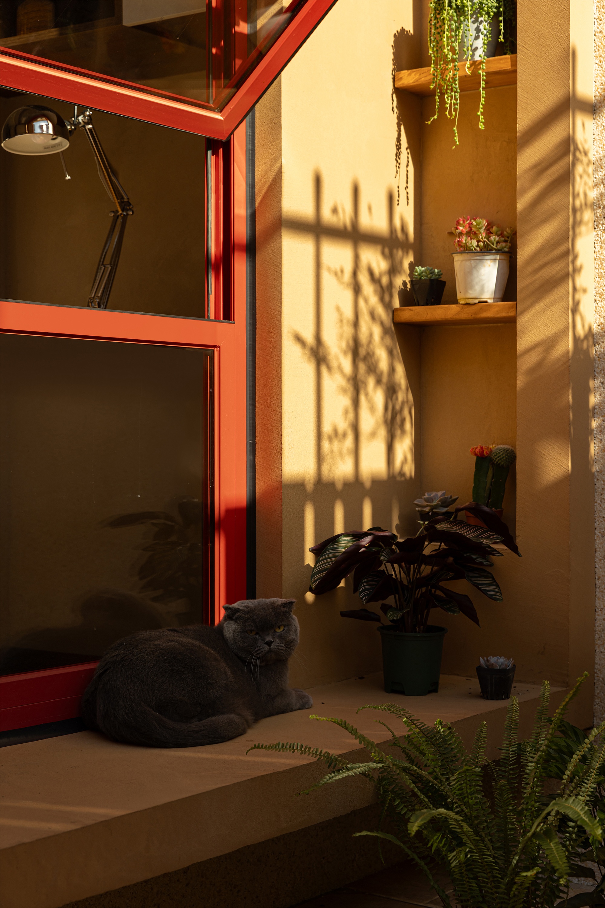 芊晓 自宅丨中国上海丨时隅空间设计-27