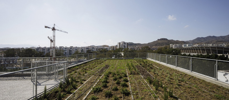 Malaga 红十字协会办公总部丨西班牙丨endosdedos® architecture-33