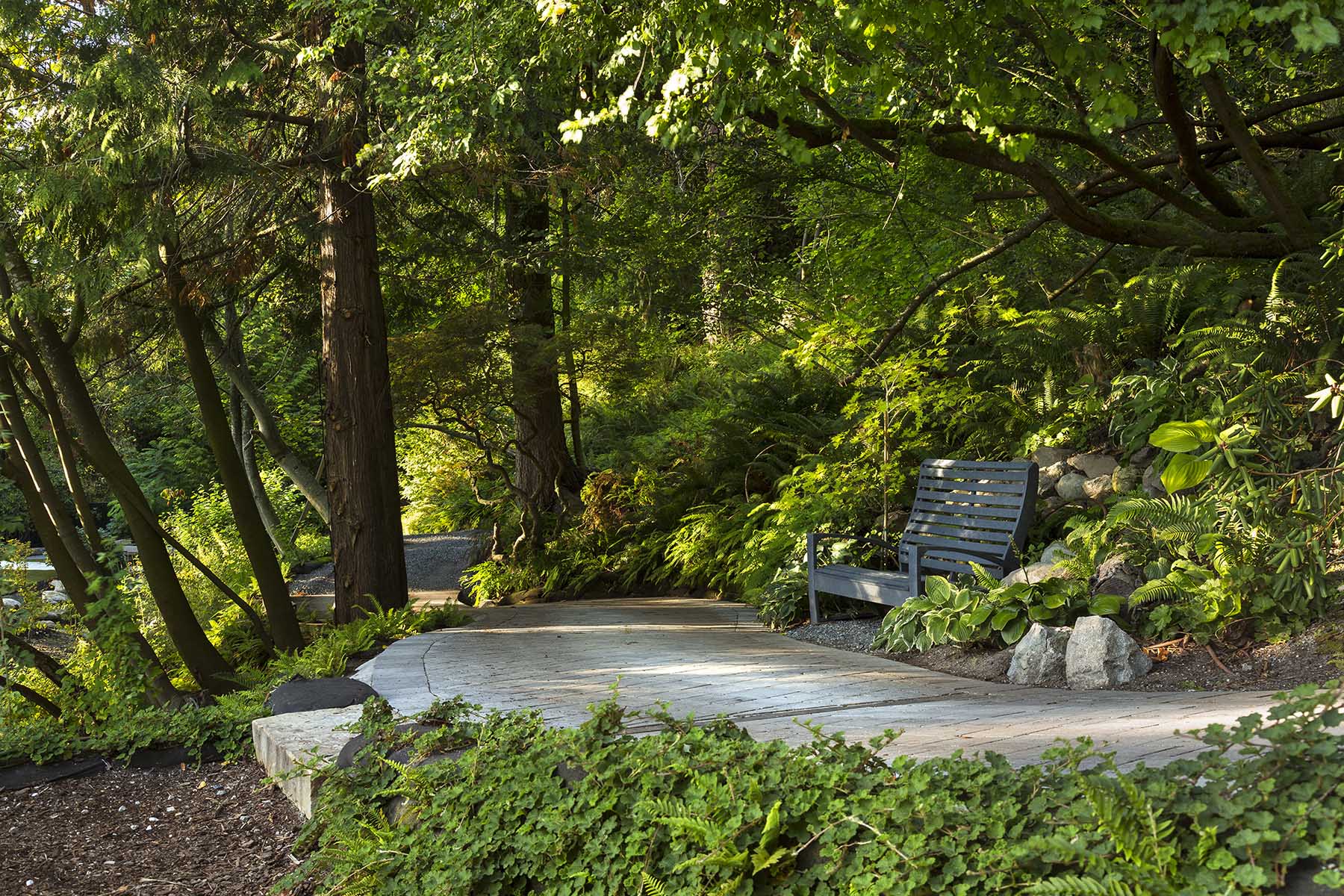 自然与现代的碰撞 | Paul Sangha Landscape Architecture 的 Juxtaposition 设计-10