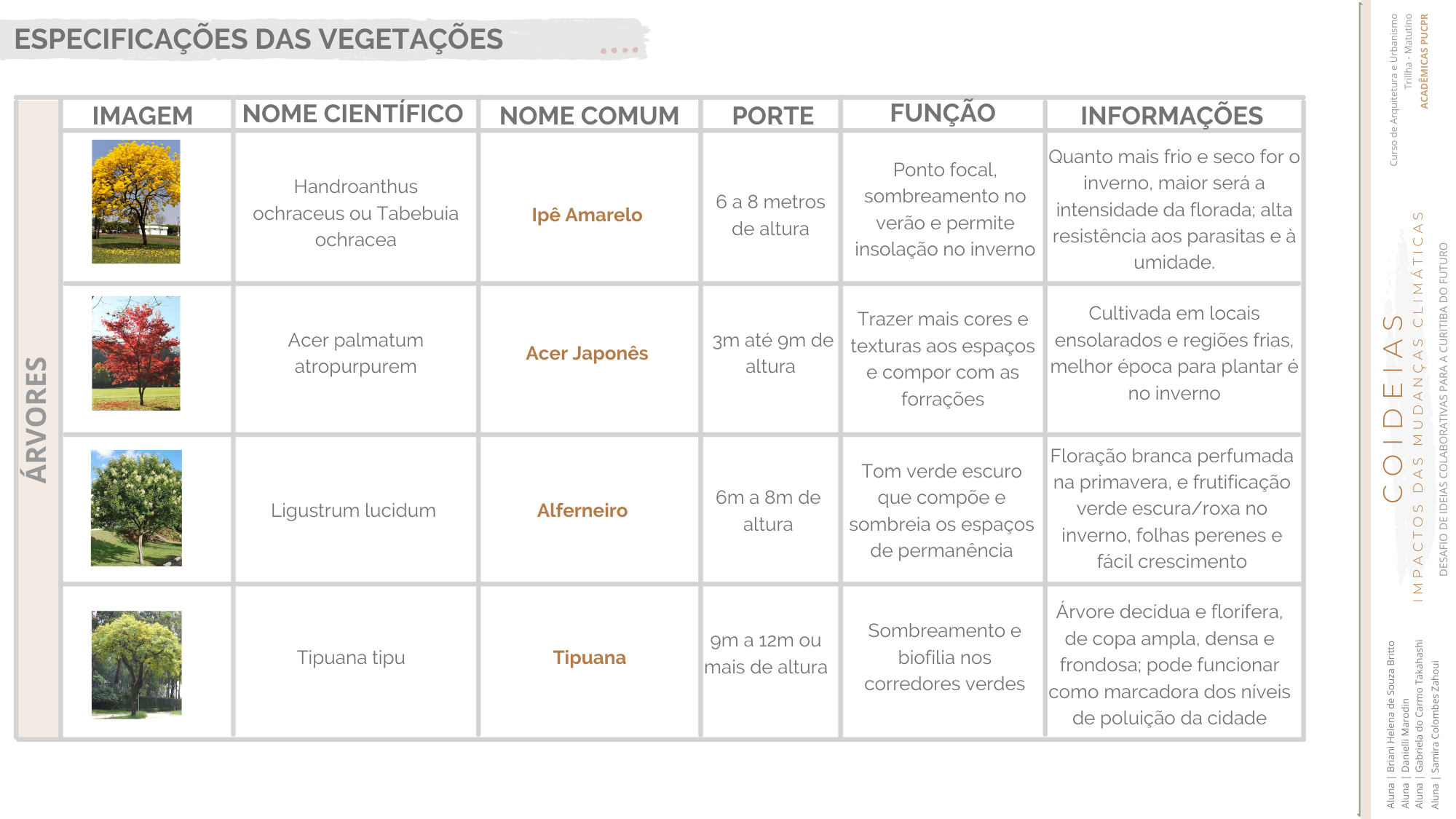 COIDEIAS - Metamorfose Resiliente-20