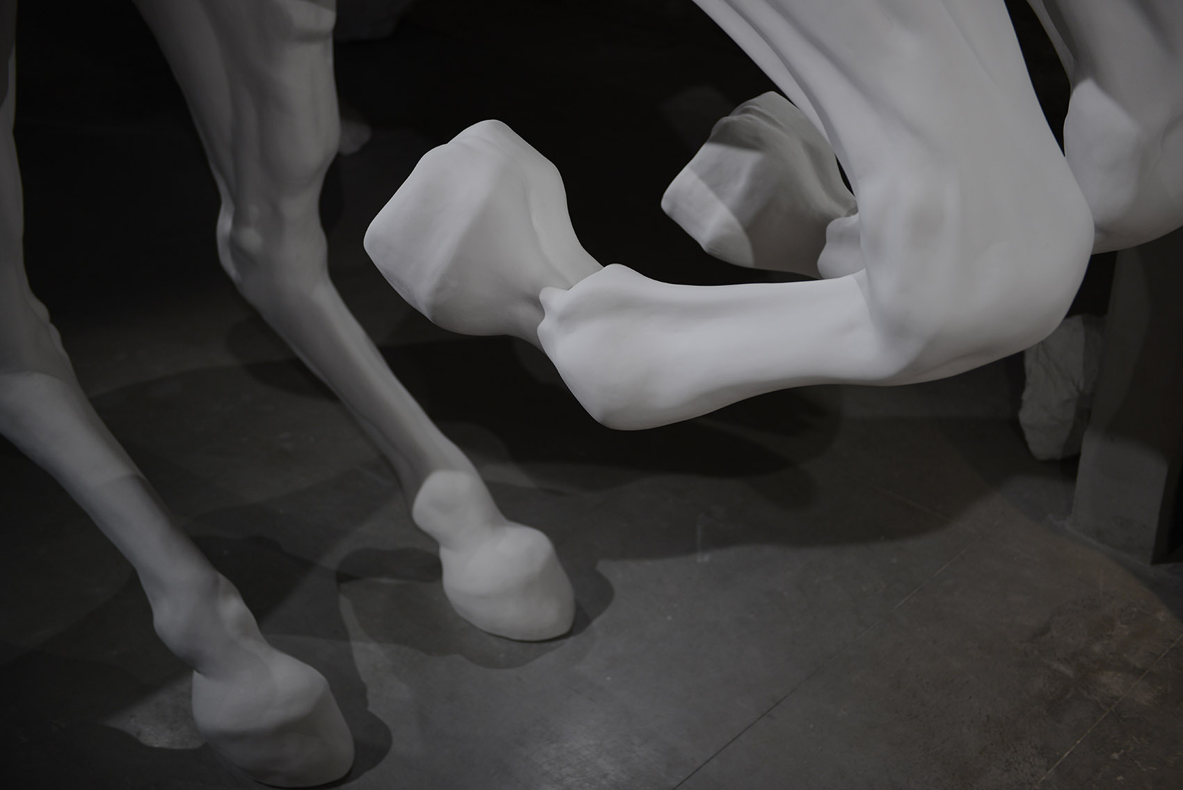 问题之马 / Claudia Fontes-29