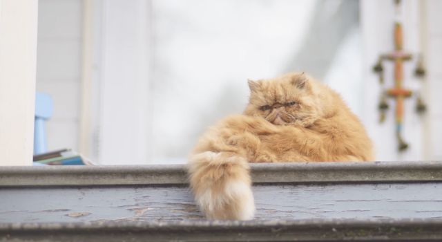 AAI 国际建筑 2019 年夜饭盛宴-37