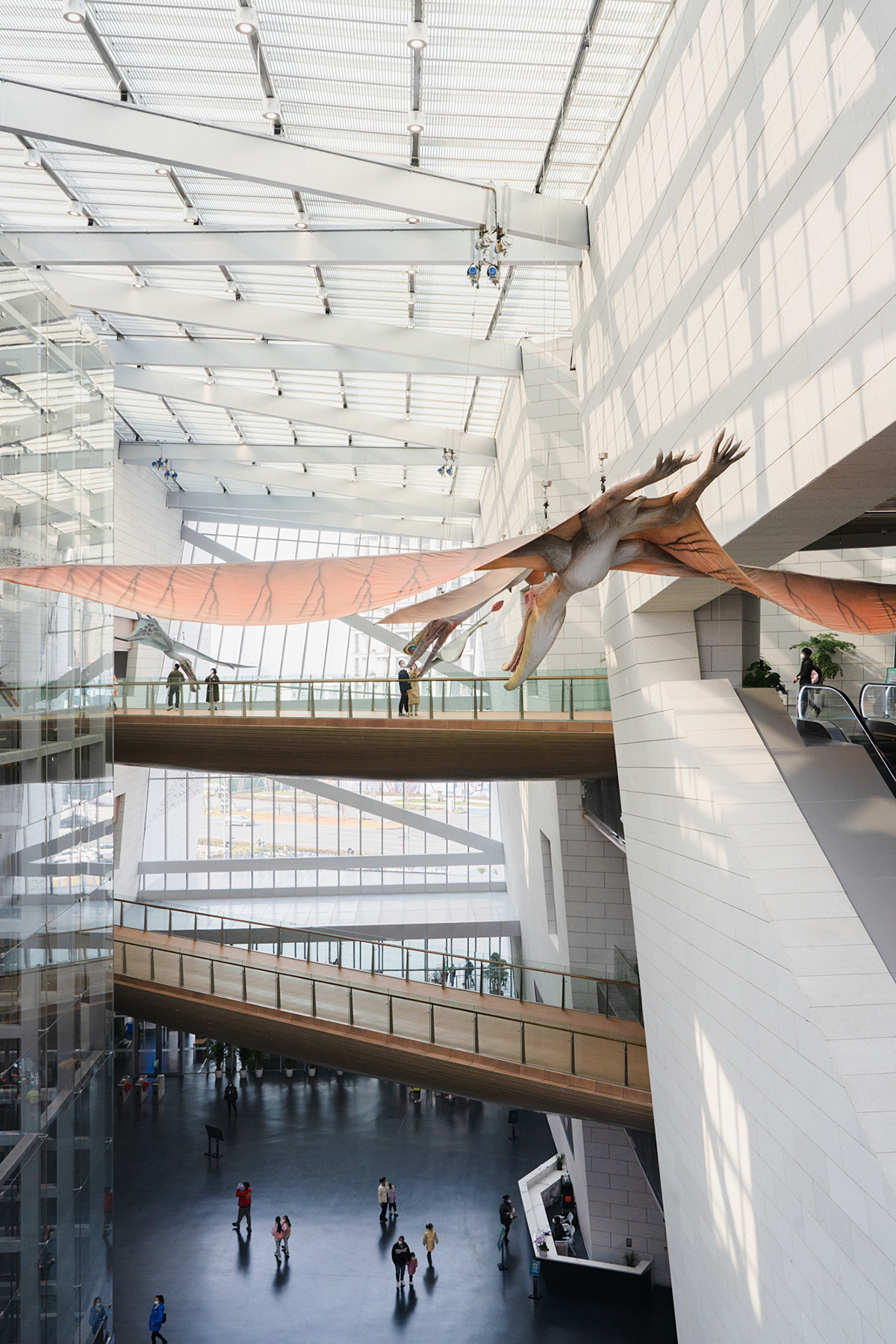 成都自然博物馆丨中国成都-39