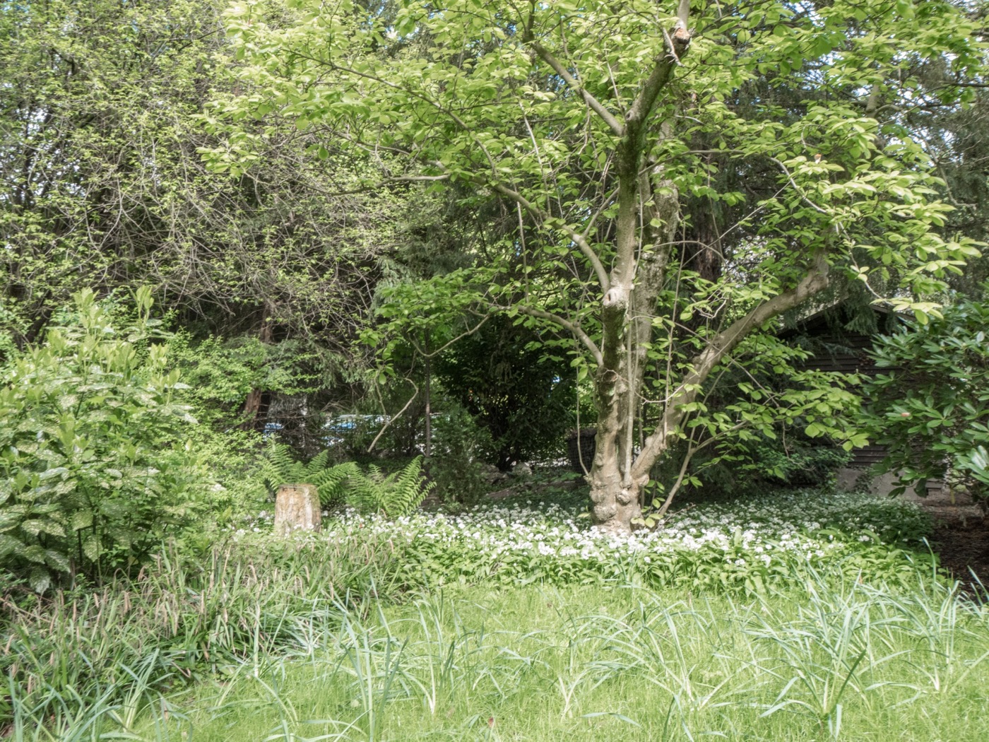 融合历史与自然的瑞士住宅设计-11